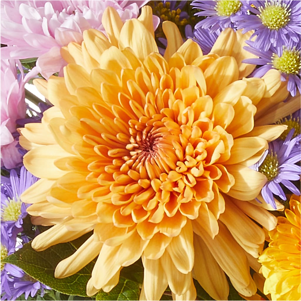 Countryside Bouquet – DAISY'S FLOWER SHOP, Hemet CA