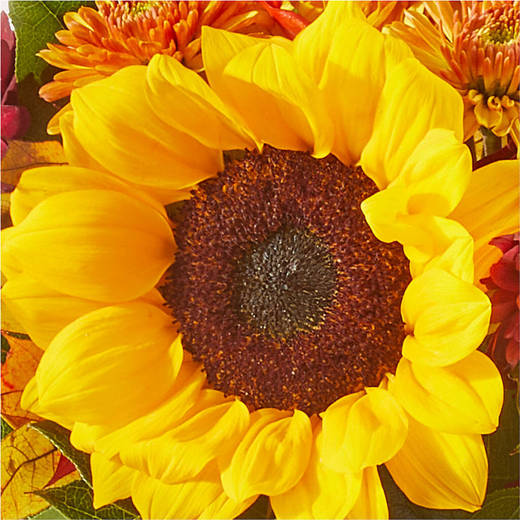 Sunny Side Bouquet – DAISY'S FLOWER SHOP, Hemet CA