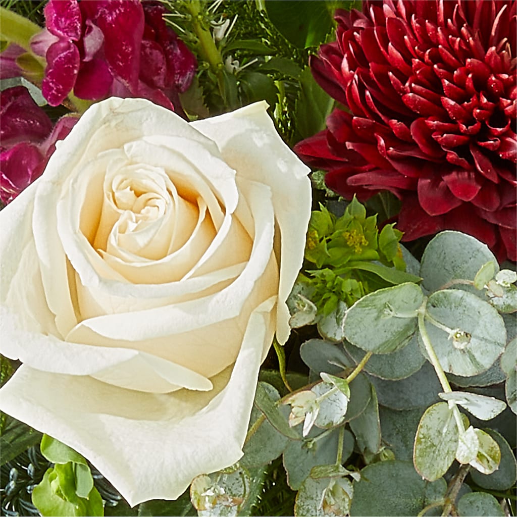 Cranberry Fizz Bouquet – DAISY'S FLOWER SHOP, Hemet CA