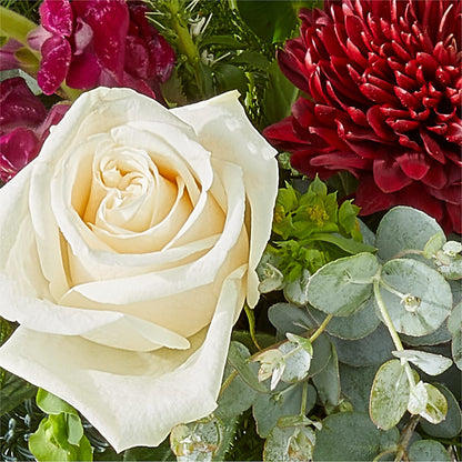 Cranberry Fizz Bouquet – DAISY'S FLOWER SHOP, Hemet CA