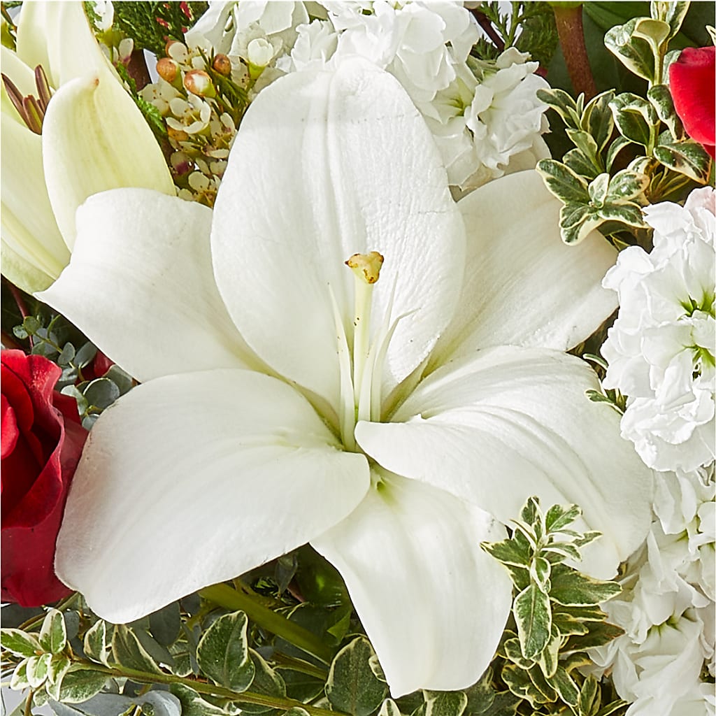 Twinkle Lights Bouquet – DAISY'S FLOWER SHOP, Hemet CA