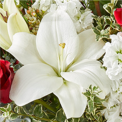 Twinkle Lights Bouquet – DAISY'S FLOWER SHOP, Hemet CA