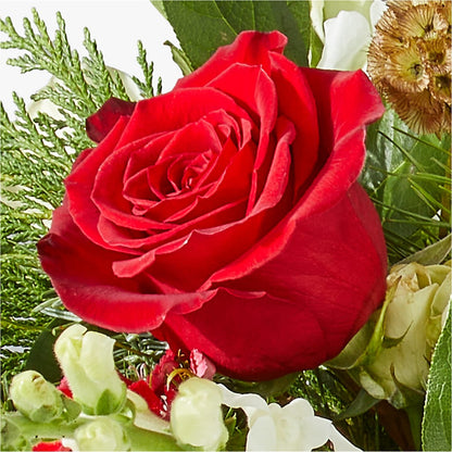 Deck the Halls Bouquet – DAISY'S FLOWER SHOP, Hemet CA