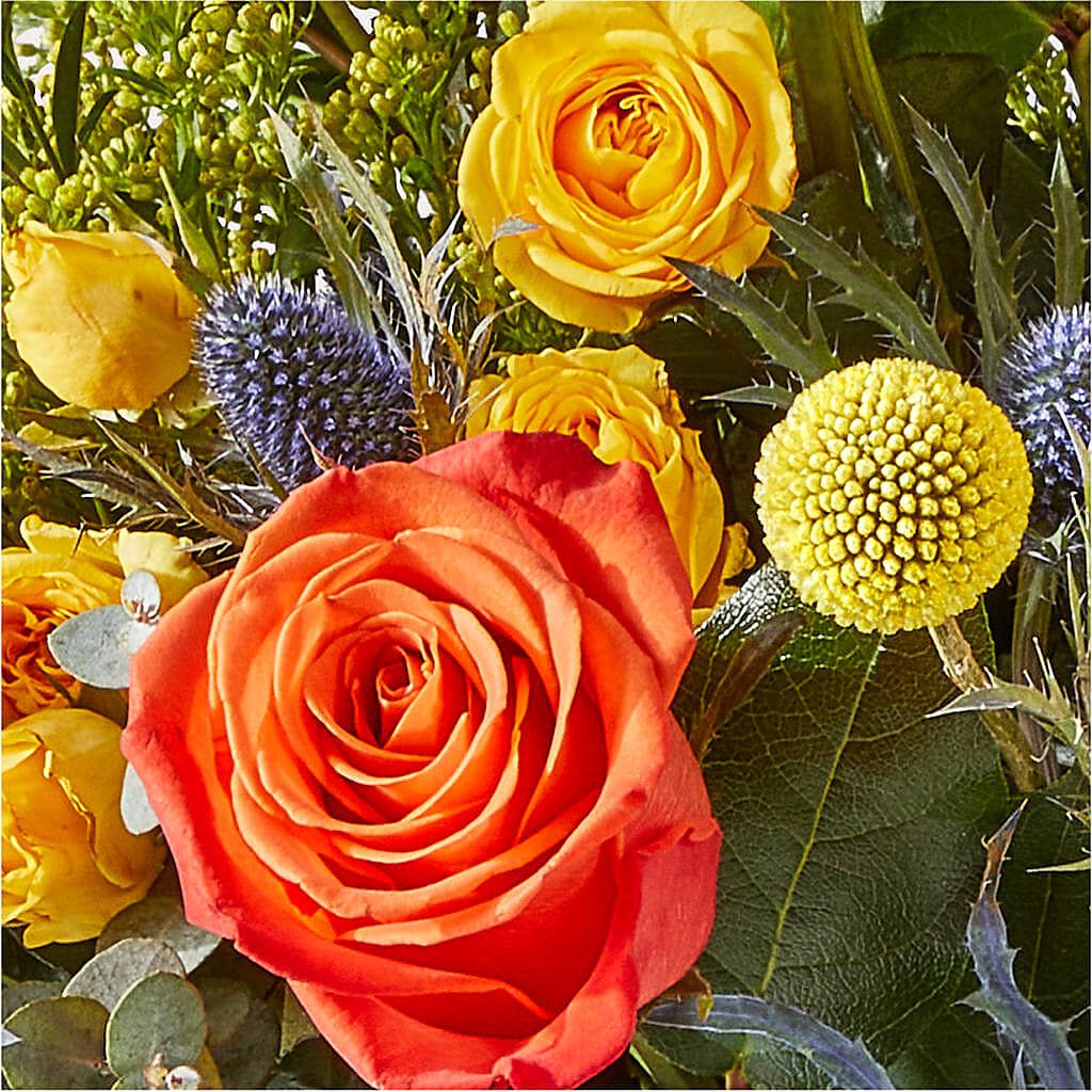 Disco Bouquet – DAISY'S FLOWER SHOP, Hemet CA