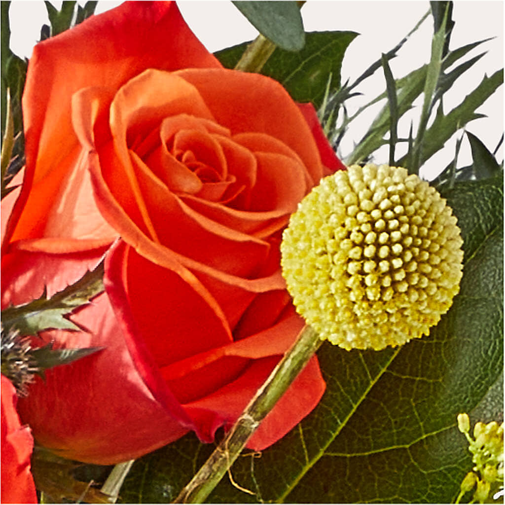 Disco Bouquet – DAISY'S FLOWER SHOP, Hemet CA