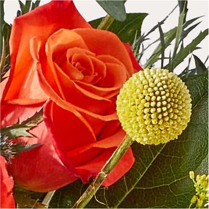 Disco Bouquet – DAISY'S FLOWER SHOP, Hemet CA