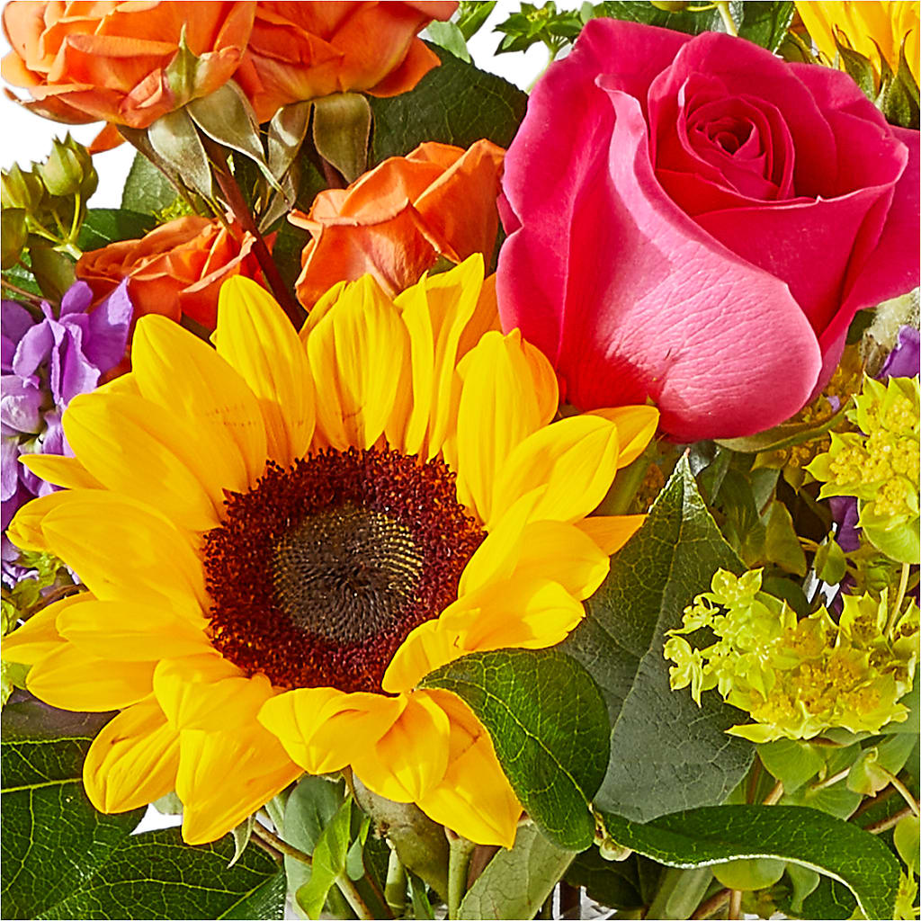 Vibrant Greetings Bouquet – DAISY'S FLOWER SHOP, Hemet CA