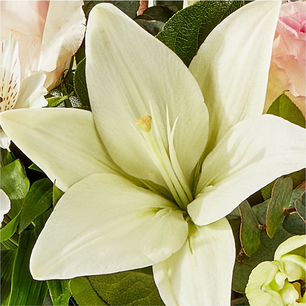 Ballet Slippers Bouquet – DAISY'S FLOWER SHOP, Hemet CA