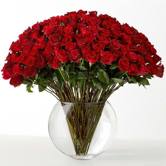 The Idealist – DAISY'S FLOWER SHOP, Hemet CA