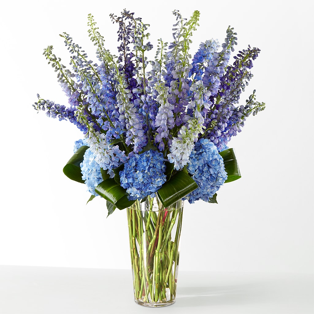 The Editorial – DAISY'S FLOWER SHOP, Hemet CA