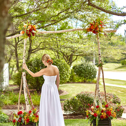 Arbor of Love Archway – DAISY'S FLOWER SHOP, Hemet CA