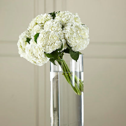 White Hydrangea Hand-Tied Bouquet – DAISY'S FLOWER SHOP, Hemet CA