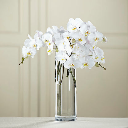White Phalaenopsis Bouquet – DAISY'S FLOWER SHOP, Hemet CA