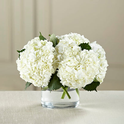 White Hydrangea Bouquet – DAISY'S FLOWER SHOP, Hemet CA